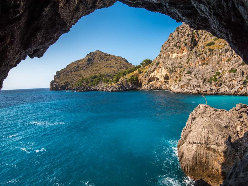 Freelancing en Argentina 2024: dónde trabajar, cómo cobrar y cómo crecer